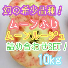 1箱限定！年末年始大セール！超希少品！ムーンルージュ　ムーンふじ詰め合わせ約10kg 長野県産　りんご　林檎　アップル