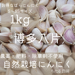 自然栽培（農薬肥料除草剤等不使用）博多八片にんにく S～SSサイズ 1kg