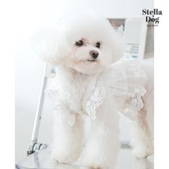 【閉店セール全品半額】レースキャミワンピース　ホワイト　サックス　犬服　ドッグウェア　春夏