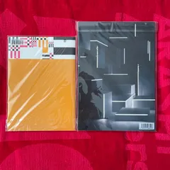 嵐、ARAFES2020.This isARASHI LIVEパンフレット