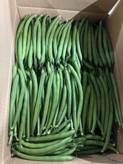 ちょい訳あり　丸インゲン　1キロ