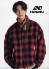 【中古】クリアファイル 田中樹 A4クリアファイル 「SixTONES LIVE TOUR 2024『VVS』」