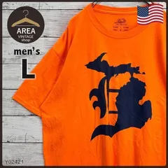 【フルーツオブザルーム】古着Tシャツ刺繍タグプリント半袖メンズLアメリカブルー青