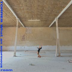 米LP Torres What An Enormous Room MRG827 Merge Records /00260