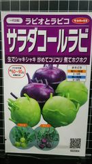 サラダ コールラビ ラビオとラビコ 種 ３袋セット
