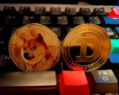 dogecoin 鉄コイン2枚  For $doge HODLer