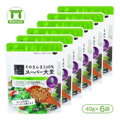 「スーパー大麦［バーリーマックス］」そのまんま100%スーパー大麦（40g×6袋）