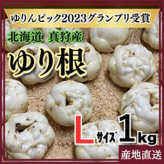 ゆり根  1kg  北海道　真狩産　ゆりんピック2023優勝　Lサイズ9個