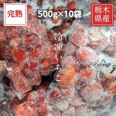 特別栽培農園直送特殊冷凍あまおう10kg - メルカリ