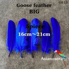 ◾️⭐︎【GB13青】ガチョウ 羽根 大 5枚 フェザー 鳥の羽根 素材 羽