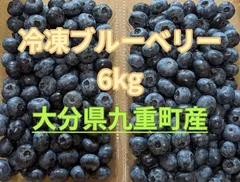ブルーベリー　600g 常温メルカリ便発送 ブルーベリー 600g 常温メルカリ便発送 - メルカリ