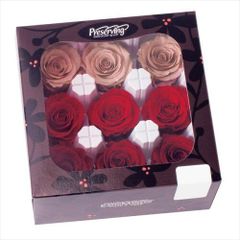 大地農園 ローズ かのん L レッド 8輪入り⚫️4箱セット⚫️6月購入の