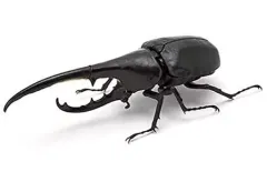 【中古】トレーディングフィギュア 4.ヘラクレス・ヘラクレス(黒) 「いきもの大図鑑 かぶとむし」