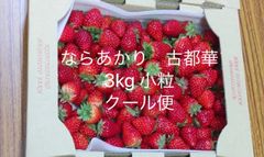 3kg 古都華　ならあかり　小粒　奈良県　橋本農園