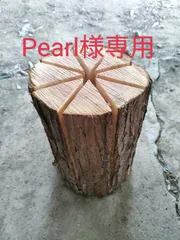 펄 전용