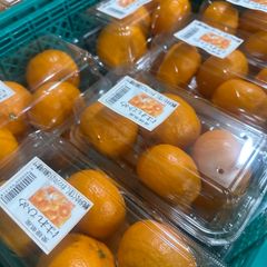 約4キロ  一里木おすすめ柑橘