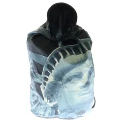 【即完人気】シュプリーム×ノースフェイス　自由の女神　マウンテンジャケット Supreme/The North Face Statue of Liberty Mountain Jacket