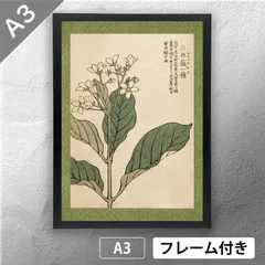 模写/寺崎広業/寺崎廣業/観音図/布袋屋掛軸HE-751 Yahoo!オークション -「寺崎広業」(掛軸) (書)の落札相場・落札価格