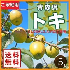 果物　青森県津軽産りんご　トキ　ご家庭用　5Kｇ/箱