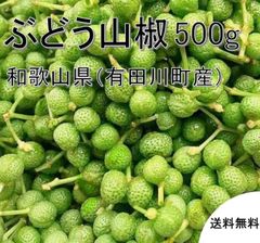 【予約販売・クール便】紀州ぶどう山椒（実山椒）　５００ｇ　青山椒　和歌山