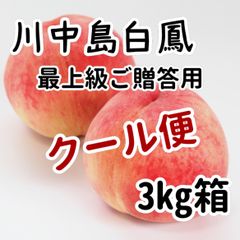 ８月上旬出荷予定　【クール便配送】川中島白鳳　３ｋｇ（8玉前後）最上級　ご贈答用