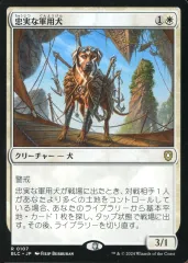 【中古】マジックザギャザリング 0107[R]：【BLC】忠実な軍用犬/Loyal Warhound