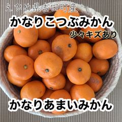えひめ県産　かなりこつぶみかん　キズあり　3kg みきゃん箱入