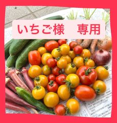 いちご様　専用ページ