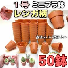 1号鉢ミニプラ鉢 [レンガ柄/レンガ模様] 50鉢＠1寸鉢：ミニプラ鉢に特化した品揃え！-1号プラ鉢50個セット＊多肉植物・塊根植物コーデックス・アガベ・サボテン・盆栽・観葉・ハオルチア・アデニウム・パキポディウム・実生＠フラワーショップ江口