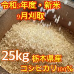 【R3年度新米】栃木県産コシヒカリ　玄米25kg