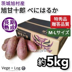 茨城旭村 熟成さつまいも 旭甘十郎べにはるか 特秀品 約5kg M・L 贈答品質