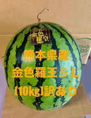【産地直送・訳あり・大玉黄金スイカ・６／１４以降発送可】熊本県産大玉スイカ　金色羅皇　５L　１０㎏～　訳あり品　優品