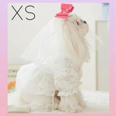 ＊新作＊ ベール ウェディングドレス　リングドック  ワンちゃん服　犬　犬服　ペット服　猫　猫服（XSサイズ） G108