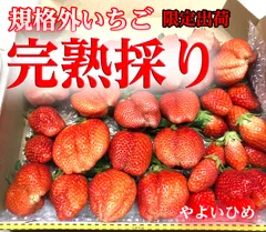 やよい様専用です》❤️パリコレクション❤️【シャコック】ブラウス