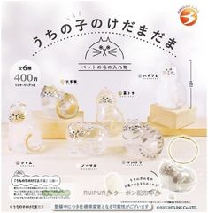 新品未使用 全6種セット ブライトリンク うちの子のけだまだま フルコンプ コンプリートセット ガチャ ガチャガチャ カプセルトイ #RUIPUR