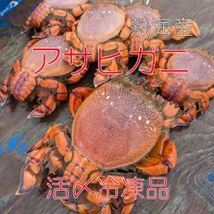 熱海産　活〆冷凍　アサヒガニ　メス2尾約670ｇ