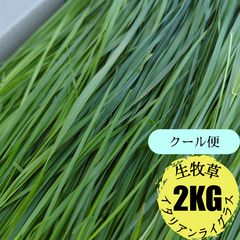 Item thumbnail for item 2cd9f891-f5cc-4901-93d9-b01b98d52e88