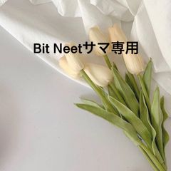 Bit Neetサマ専用
