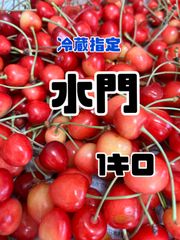 111 予約販売　北海道産　さくらんぼ　水門　7月発送予定