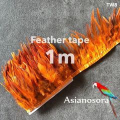 ◾️⭐︎【TW8 オレンジ】1m 羽根 フェザー テープ リボン 鳥の羽根 鳥 羽