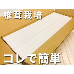 【限定品！】椎茸栽培 発泡スチロール栓 12~12.7mm 5,000個入