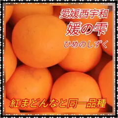 媛の雫まどんな　内容量　2.2キロ　Ｌ〜３Lサイズ　家庭用　(ＪＡ紅まどんなと同一品種)　　柑橘愛果２８号　みかん果物マドンナまどんな　北海道、沖縄のお客様は発送不可です。