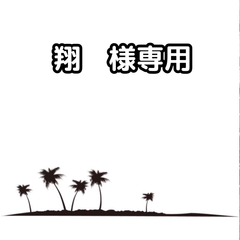翔様専用　【抜き苗】2本　ワシントンヤシ　ワシントニア　フィリフェラ　Washingtonia filifera　2024-7-19-wf1