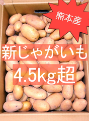 【熊本県産】新じゃがいも 4.5kg超