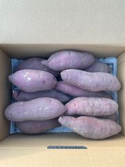 無農薬　さつまいも　紅はるか　5キロ入り　②