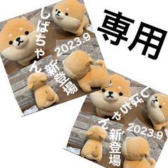 ★専用ページです★