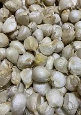 大山山麓栽培期間中農薬化成肥料不使用栽培人参1㎏じゃがいも1㎏玉葱1㎏【送料込】 大山山麓栽培期間中農薬化成肥料不使用栽培人参1㎏じゃがいも1