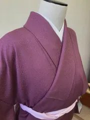 【長期保管品】正絹小紋着尺 澤瀉 オモダカ 反物 未仕立て品 長期保管品】正絹小紋着尺 澤瀉 オモダカ 反物 未仕立て品