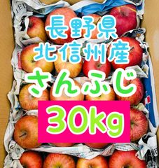 まとめ買いで超お得😆業者様も大歓迎！お裾分けにも！長野県産ふじりんご約30kg 並品✖️訳ありMIX🍎　全国送料無料🚚