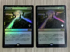 2025年最新】虚空の力線の人気アイテム - メルカリ